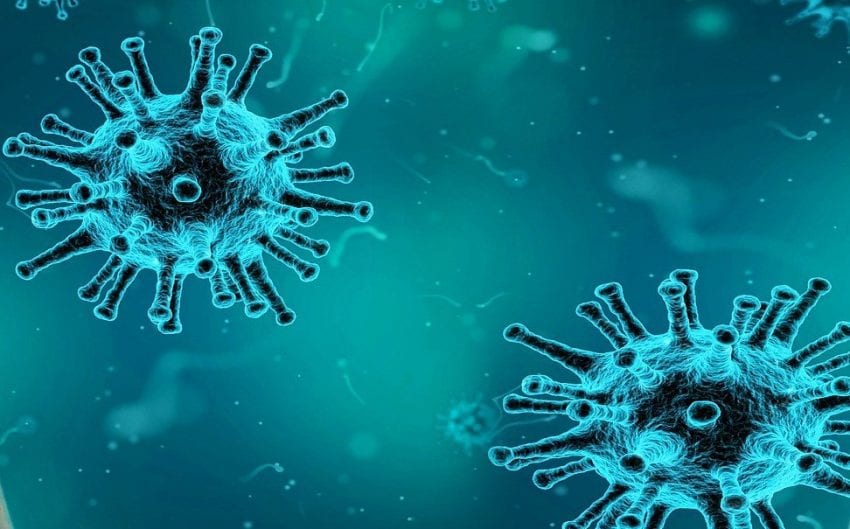 U Severnobačkom okrugu 21 osoba zaražena korona virusom