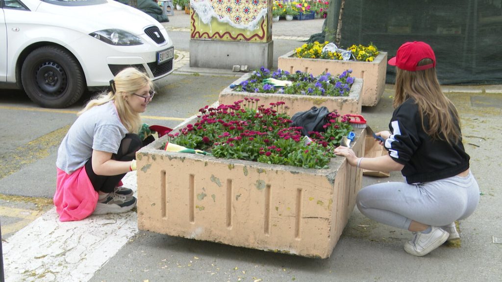 Mladi u akciji IT Subotica 2030 na ulepšavanju betonskih žardinijera u centru Subotice