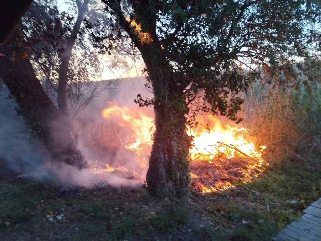 Od početka maja dva požara u zaštićenom području Bačkotopolskog jezera zbog roštiljanja