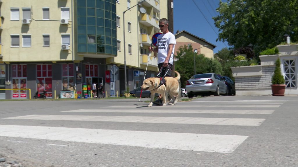 Labradorka Nataša je tri puta sačuvala život svog slepog vlasnika